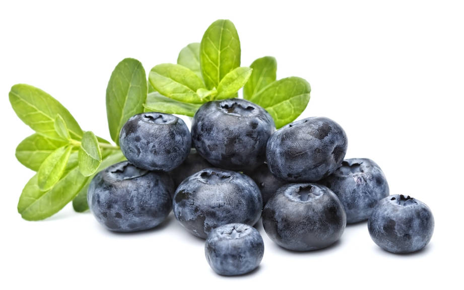 How to Say “Blueberry” in French? What is the meaning of “Bleuet”?