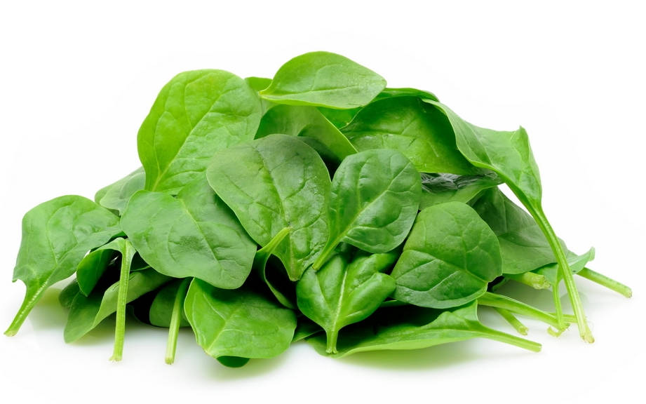 How to Say “Spinach” in French? What is the meaning of “Épinard”? OUINO