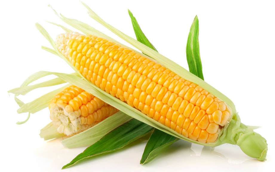 How to Say “Corn” in French? What is the meaning of “Maïs”?