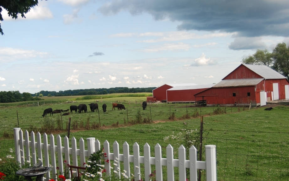 How to Say “Farm animals” in French? What is the meaning of “Animaux de la ferme”?