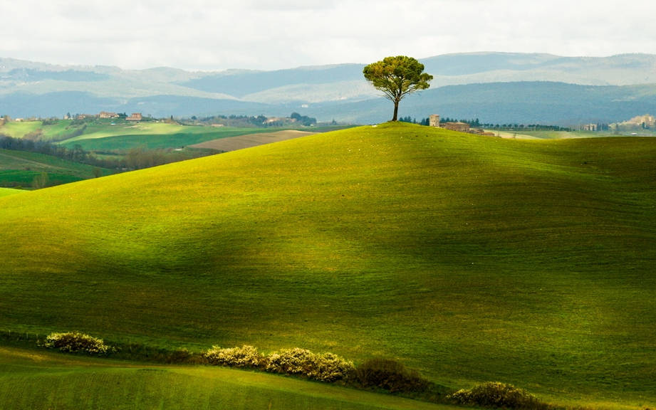 How to Say “Hill” in French? What is the meaning of “Colline”? - OUINO