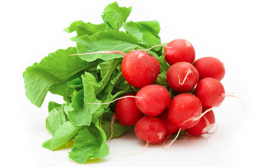 How to Say “Radish” in German? What is the meaning of “Radieschen”?