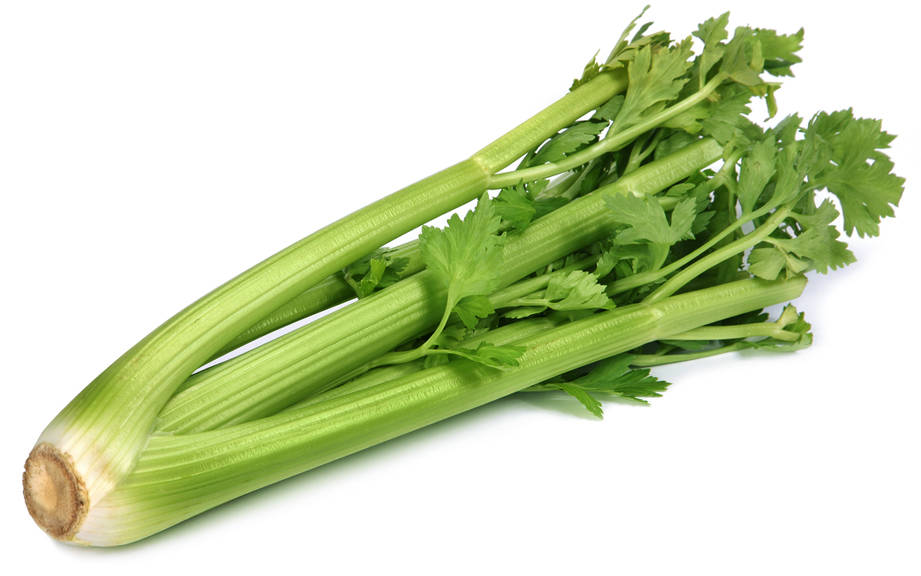 How to Say “Celery” in German? What is the meaning of “Sellerie”?