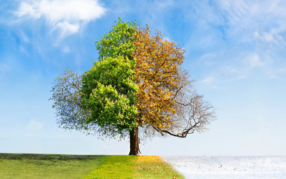 How to Say “Seasons” in German? What is the meaning of “Jahreszeiten”?