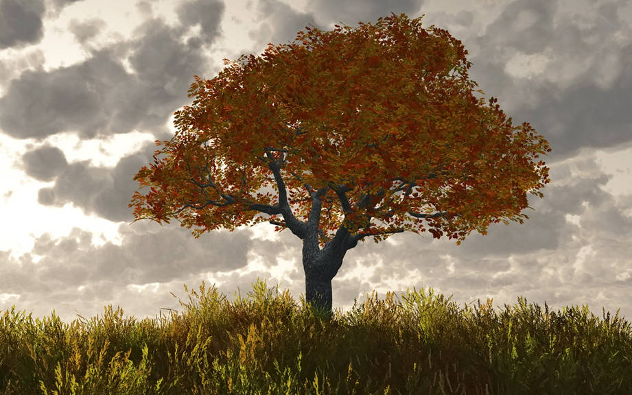 How to Say “Fall” in German? What is the meaning of “Herbst”? OUINO