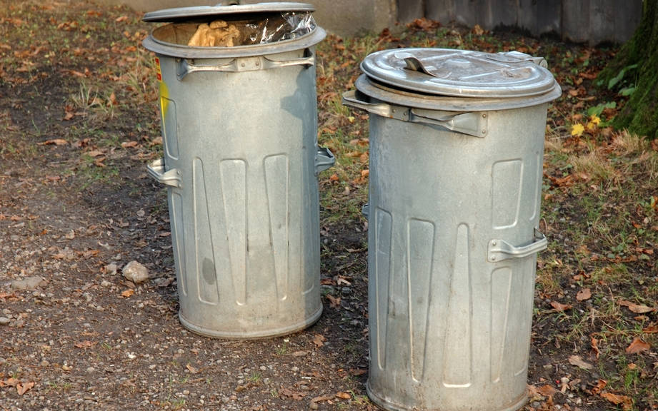 How to Say “Garbage can” in German? What is the meaning of “Mülleimer”?