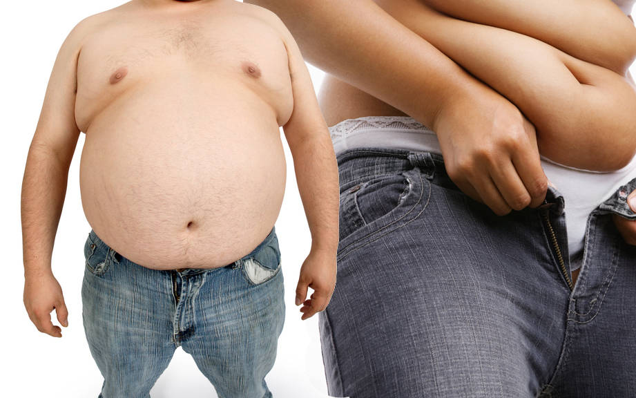 How to Say “Fat” in German? What is the meaning of “Dick”?