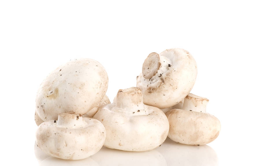 How to Say “Mushroom” in Italian? What is the meaning of “Fungo”?