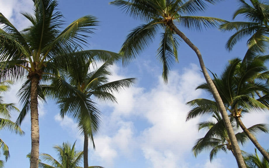 How to Say “Afternoon” in Italian? What is the meaning of “Pomeriggio