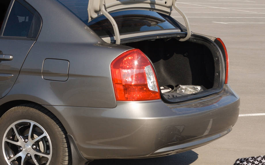 How to Say “Trunk” in Italian? What is the meaning of “Portabagagli”?