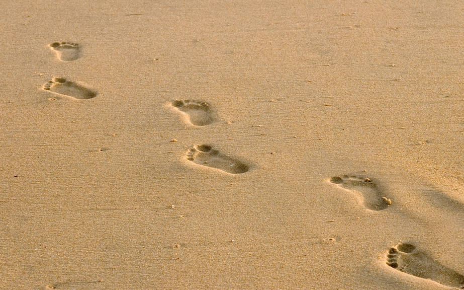 How to Say “Beige” in Italian? What is the meaning of “Beige”?