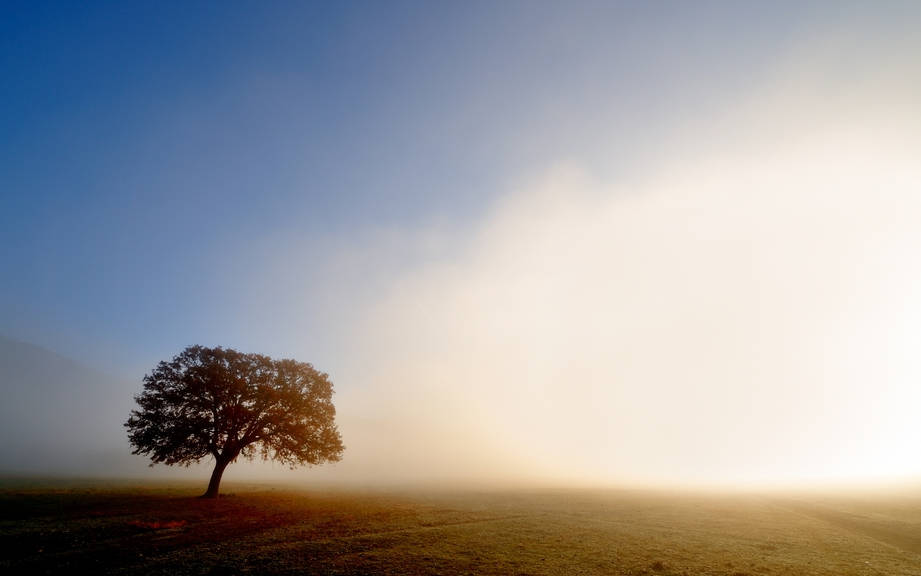 How To Say Fog In Italian What Is The Meaning Of Nebbia Ouino