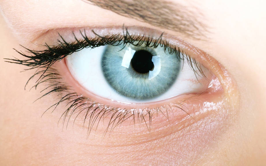 How to Say “Blue eyes” in Spanish? What is the meaning of “Ojos azules”? -  OUINO